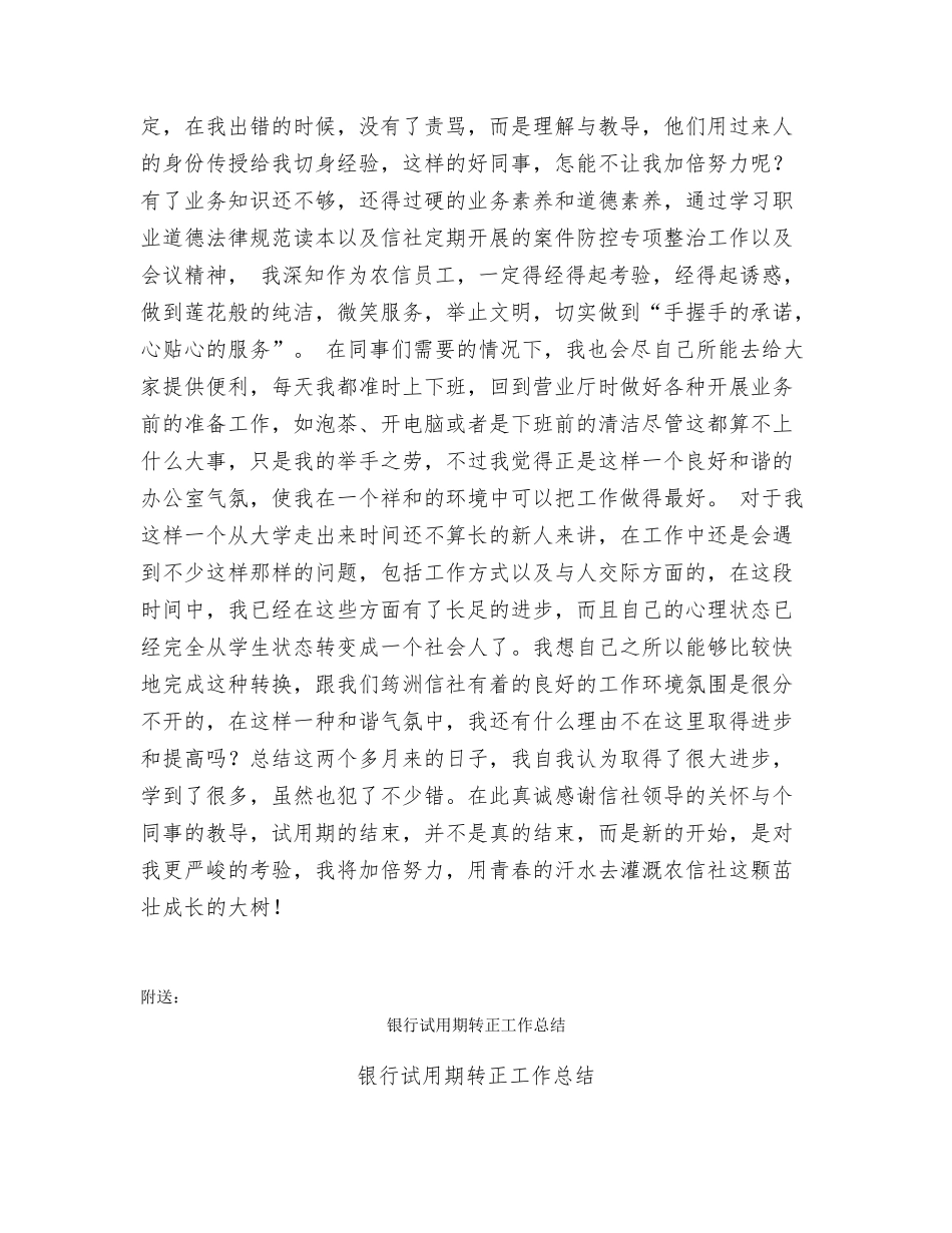 银行试用期工作总结范文_第2页