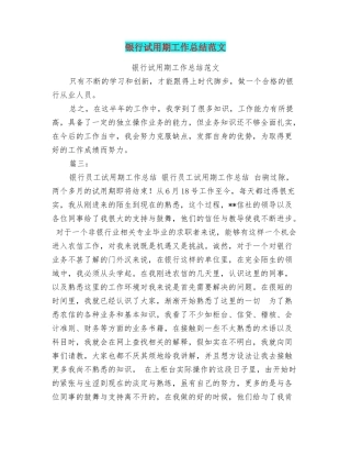 银行试用期工作总结范文