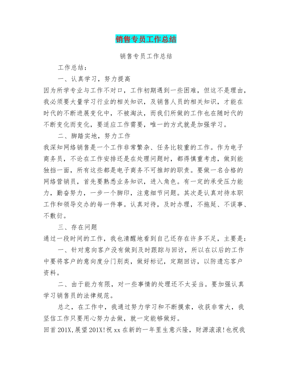 销售专员工作总结_第1页
