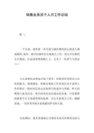 销售业务员个人月工作总结