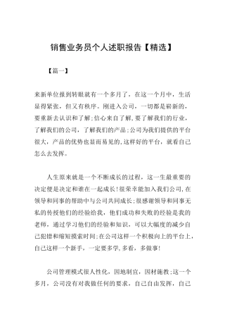 销售业务员个人述职报告