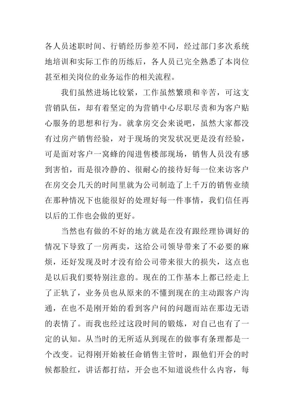 销售主管的述职报告_第2页