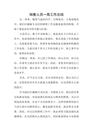 销售人员一周工作总结