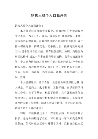 销售人员个人自我评价