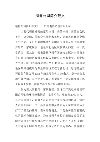 销售公司简介范文