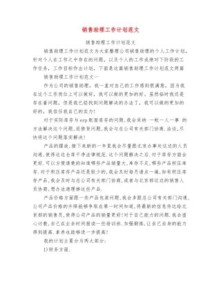 销售助理工作计划范文