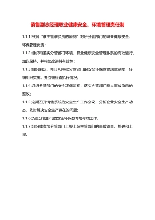 销售副总经理职业健康安全、环境管理责任制—