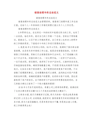 销售助理年终总结范文