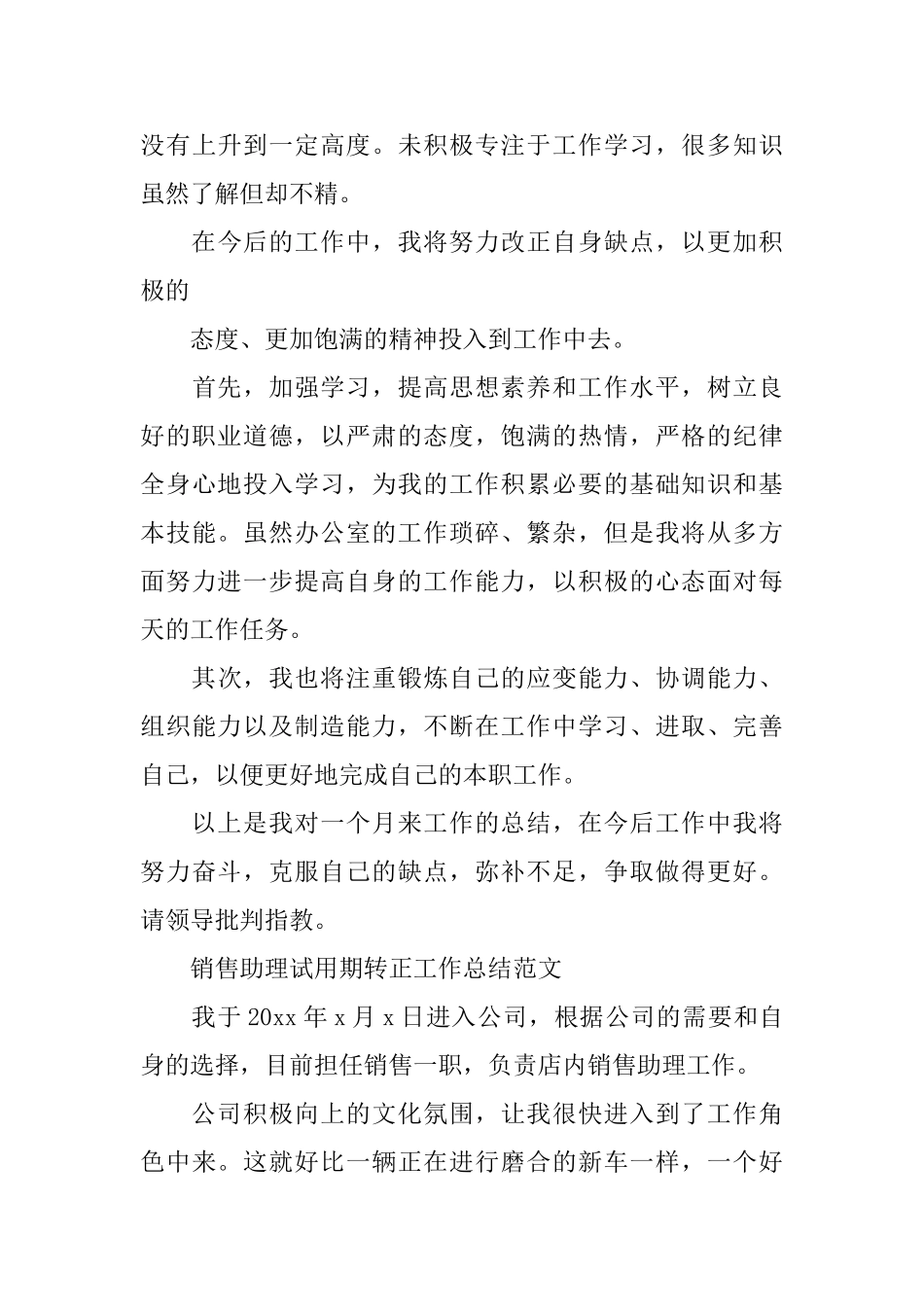 销售助理试用期转正工作总结精选_第3页