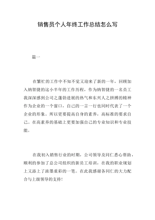 销售员个人年终工作总结怎么写