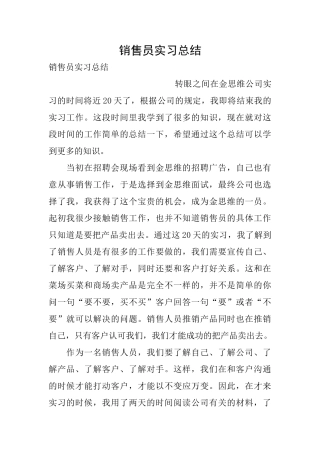 销售员实习总结