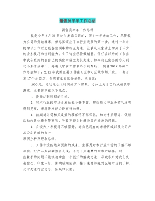 销售员半年工作总结