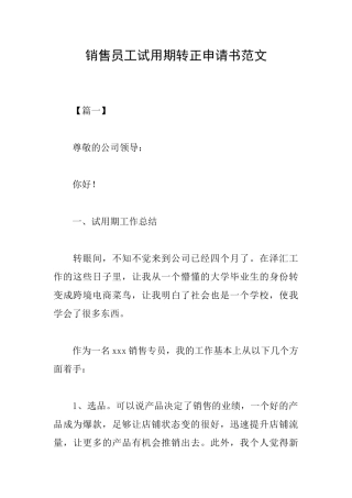销售员工试用期转正申请书范文