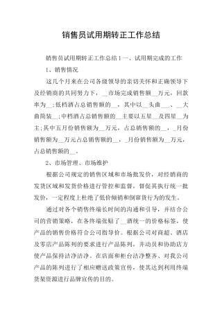 销售员试用期转正工作总结