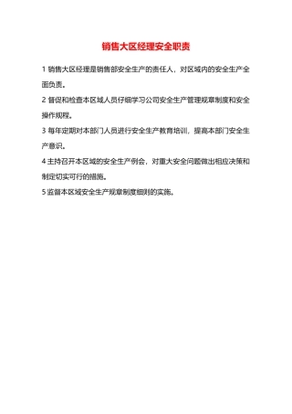 销售大区经理安全职责—
