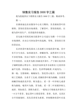 销售实习报告3000字三篇