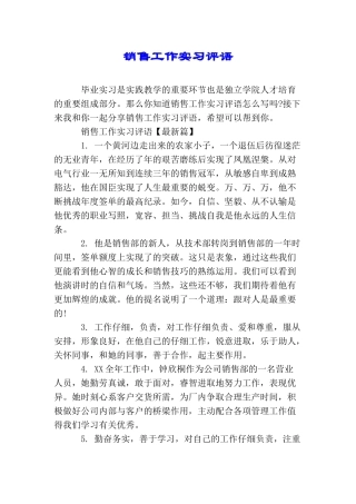 销售工作实习评语
