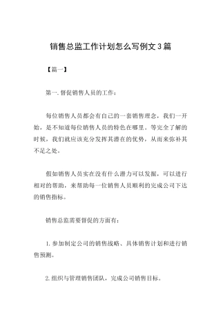 销售总监工作计划怎么写例文3篇