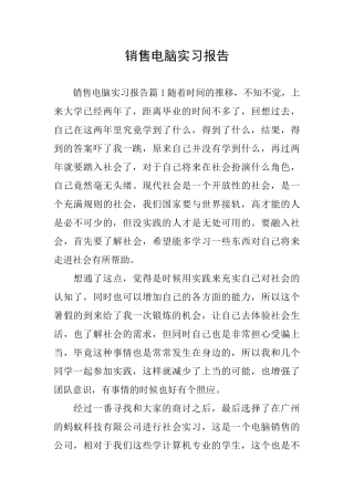 销售电脑实习报告