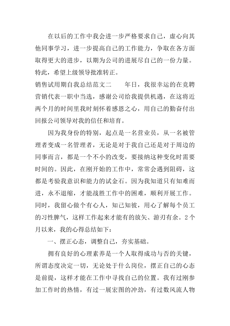 销售试用期自我总结怎么写_第3页