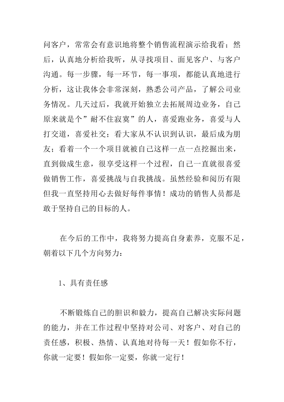 销售试用期转正工作总结报告_第2页