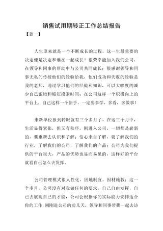 销售试用期转正工作总结报告