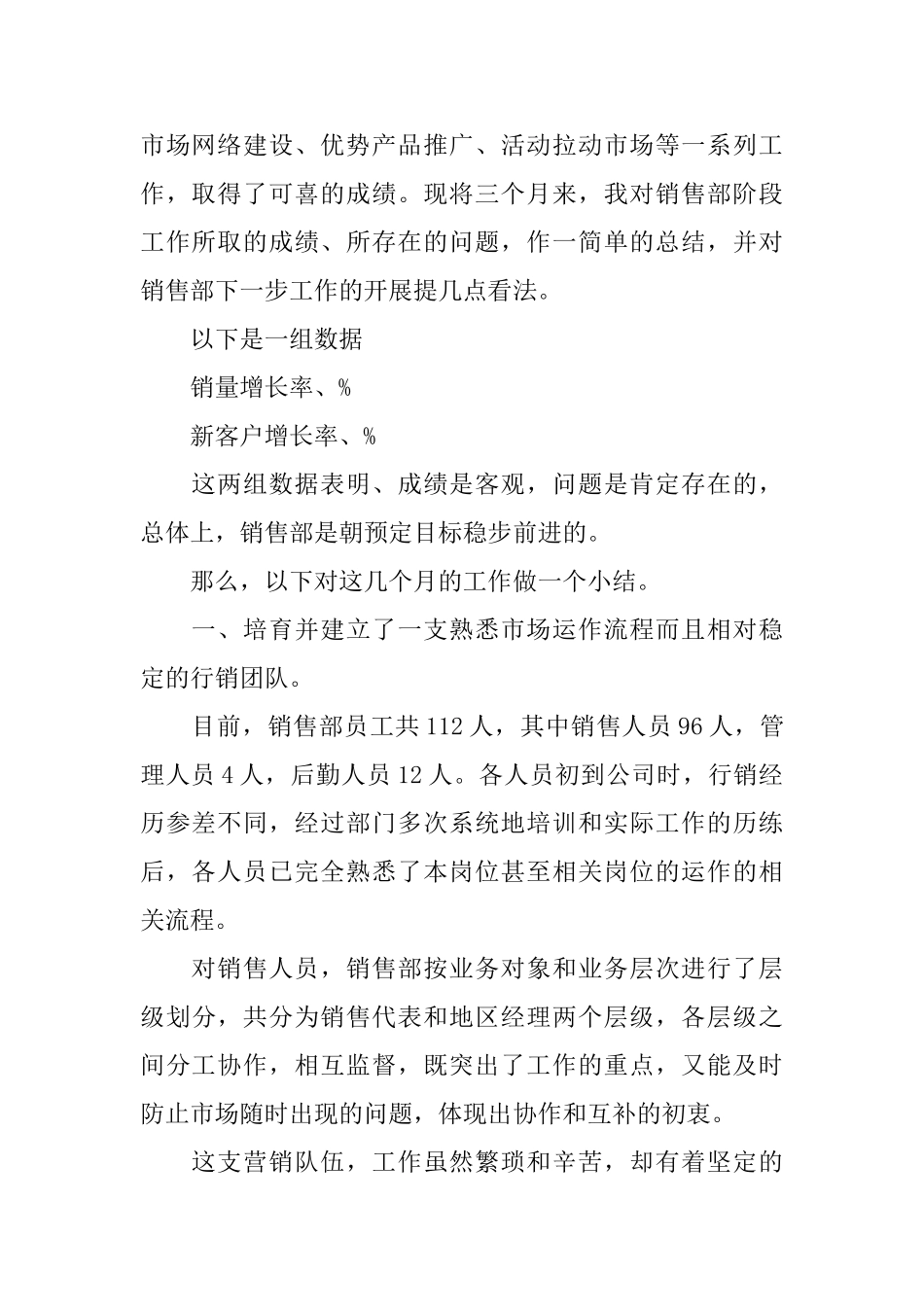 销售部年终总结_第2页
