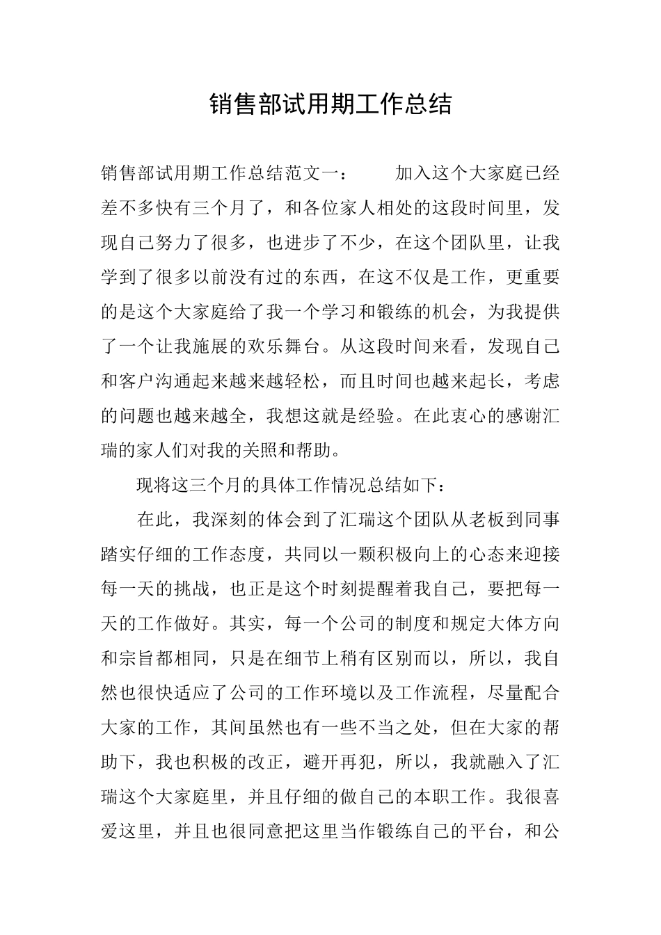 销售部试用期工作总结_第1页