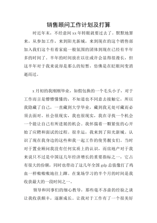 销售顾问工作计划及打算