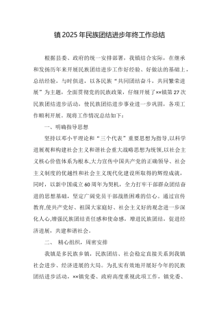 镇2025年民族团结进步年终工作总结