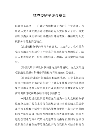 镇党委班子评议意见