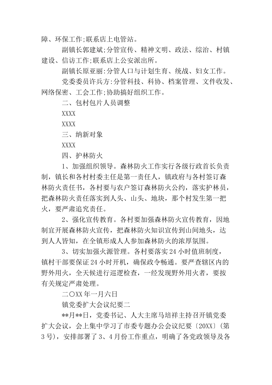 镇党委扩大会议纪要_第2页