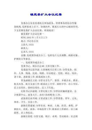 镇党委扩大会议纪要