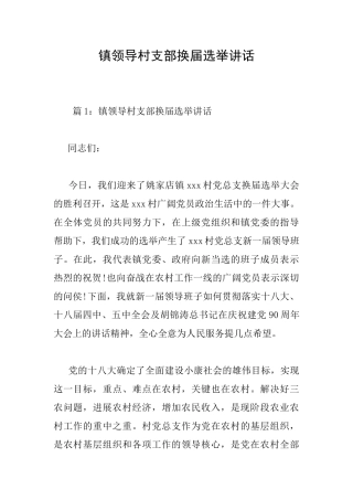 镇领导村支部换届选举讲话