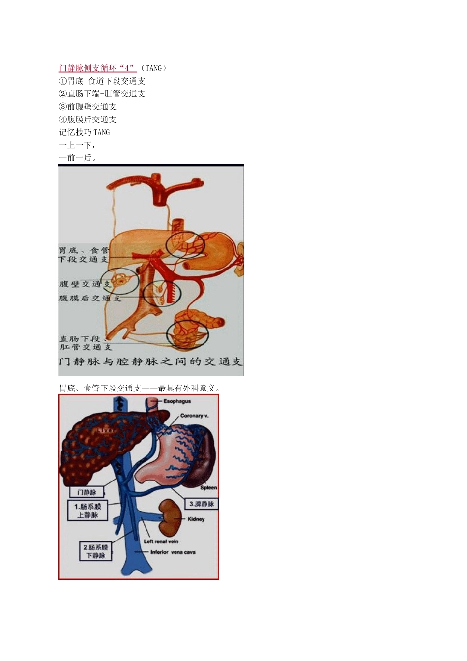门静脉高压症病人的护理精华版_第3页