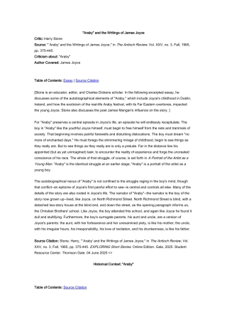 阿拉比文章详细解析