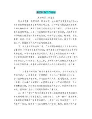 集团财务工作总结