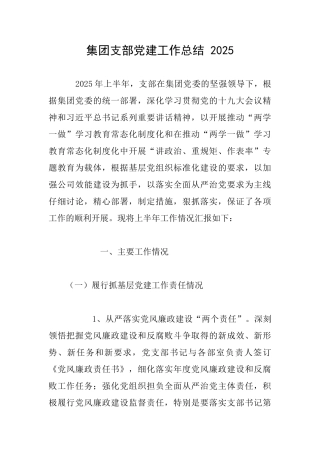 集团支部党建工作总结2025