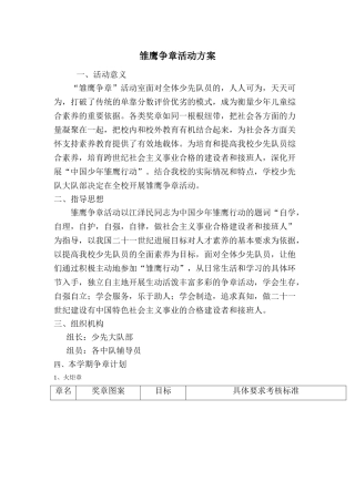 雏鹰争章方案