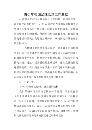 青少年校园足球活动工作总结