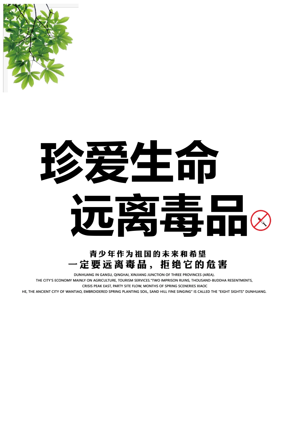 青少年预防毒品知识宣传教育手册word格式文档模板_第1页