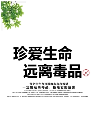 青少年预防毒品知识宣传教育手册word格式文档模板