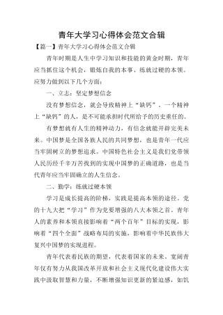 青年大学习心得体会范文合辑