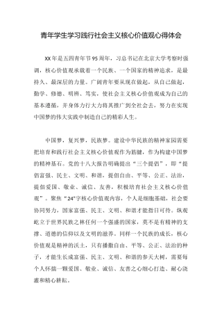 青年学生学习践行社会主义核心价值观心得体会