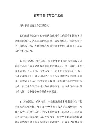 青年干部培养工作汇报