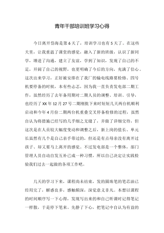 青年干部培训班学习心得
