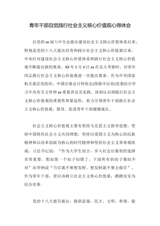 青年干部自觉践行社会主义核心价值观心得体会