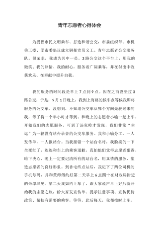 青年志愿者心得体会