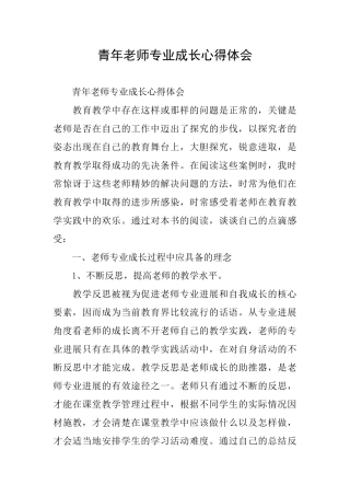 青年教师专业成长心得体会