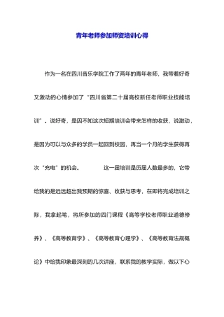 青年教师参加师资培训心得-